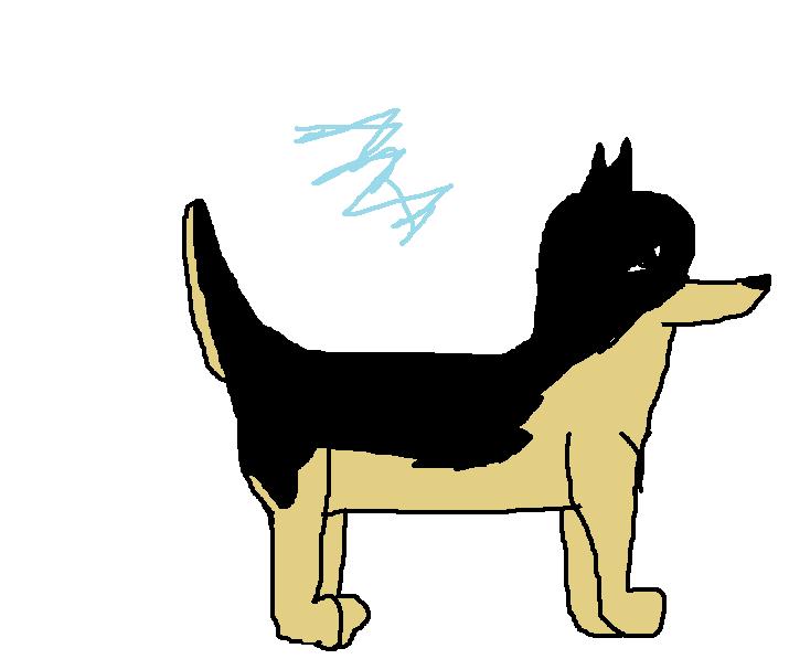 sandy ran.jpg
