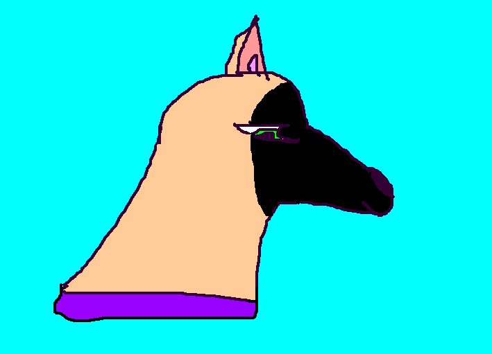 blank-p.gif