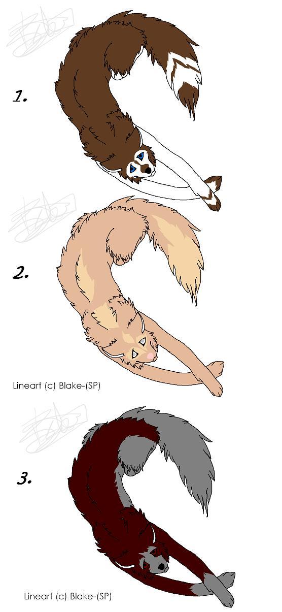 3 huskies.JPG
