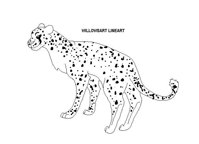 untitled.GIF