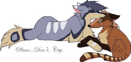 Don't cry...PNG