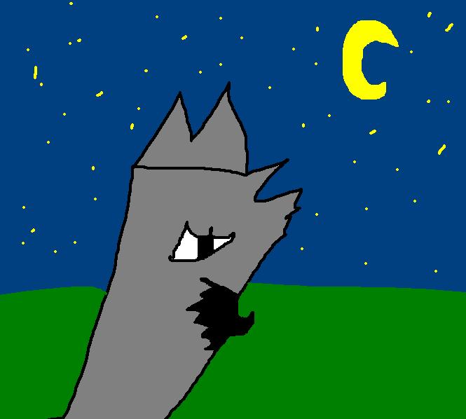 New pic of Midnight Blaze.JPG