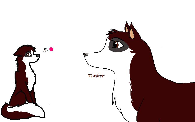Timber.jpg