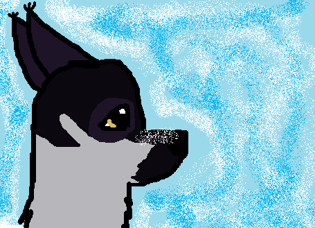 du.png
