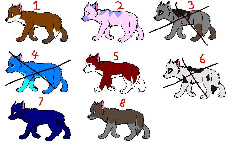 8 pups for C (Adopted).JPG