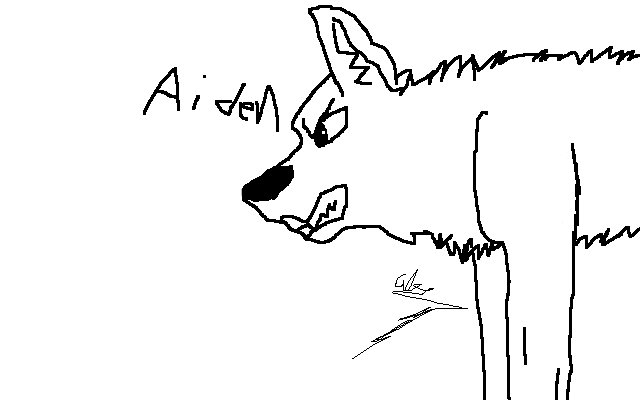 aiden.jpg