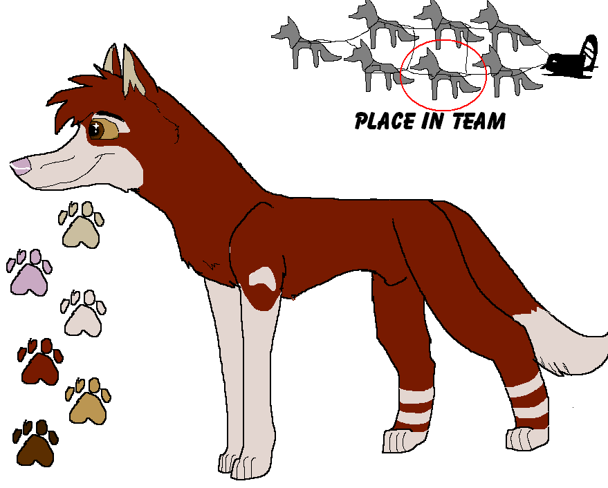 troy reff 2.PNG