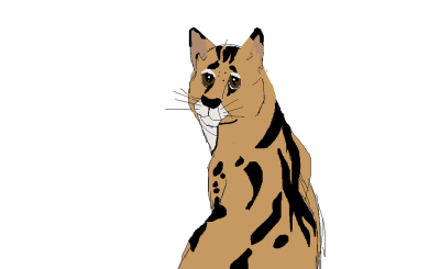 serval_by_bounceydabest-d667s9g.png