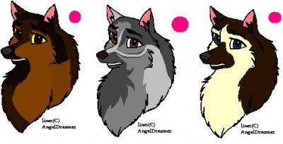 Adoptable designs.JPG