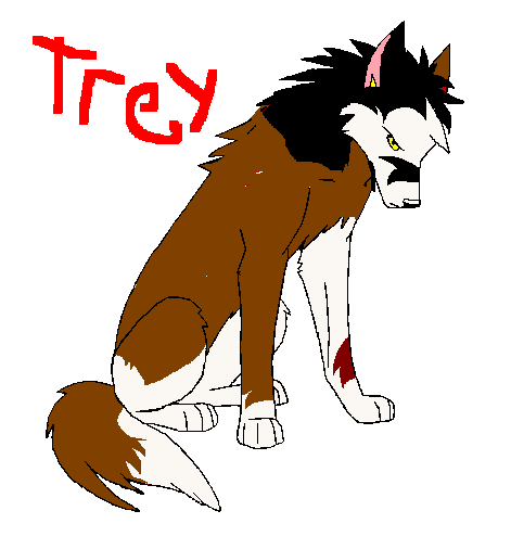 Trey.PNG