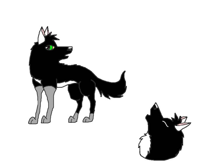 Sable.jpg