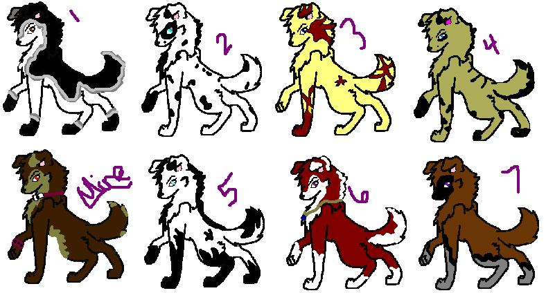 inwuff.JPG