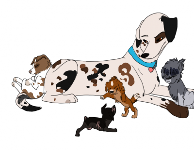 Felicity.png