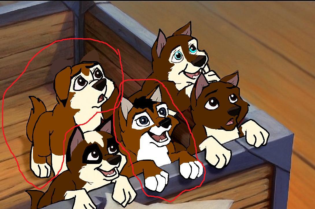 pup.jpg