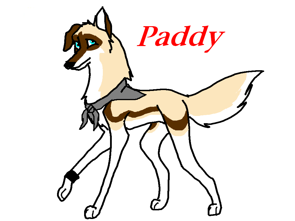 Paddy.PNG