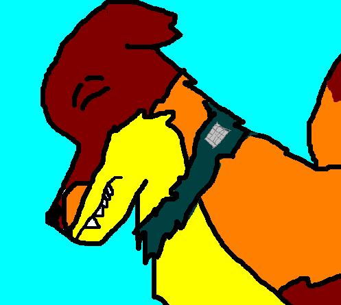 ccccc.JPG