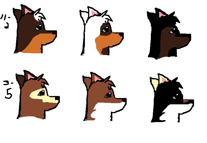 new1.jpg