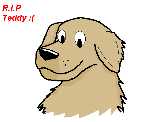 0000.PNG