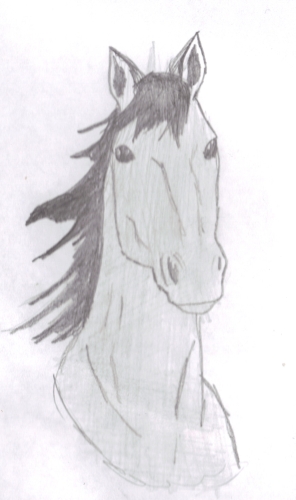 horse sketch 2006.jpg
