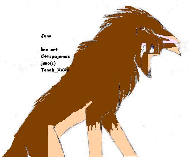 juno.JPG
