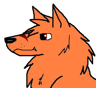 123.PNG