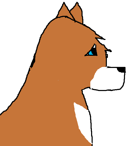 %%%%%%$333.png