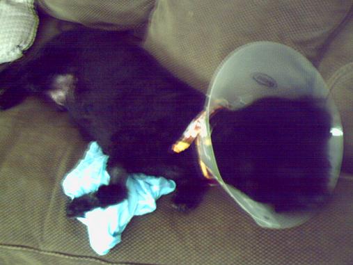 PICT0082.JPG