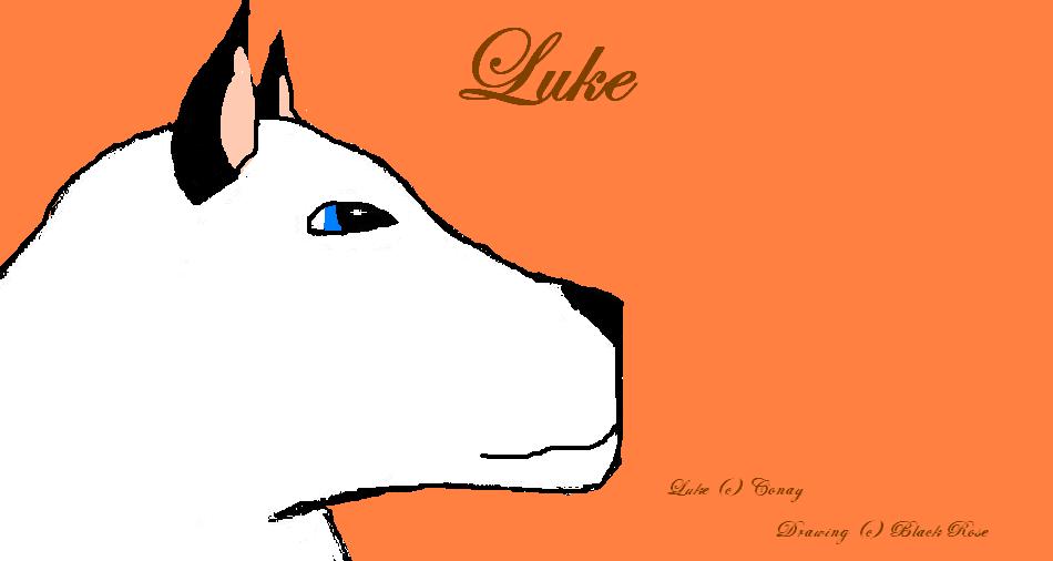 Luke2.JPG