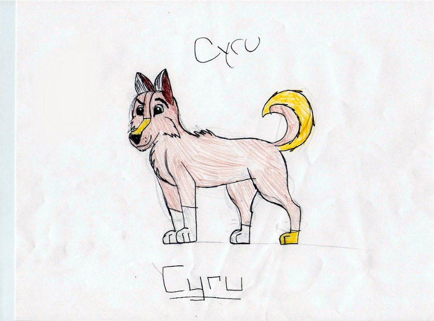 Cyru.jpg