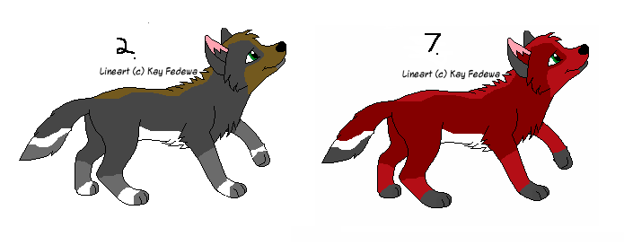 2&7.png