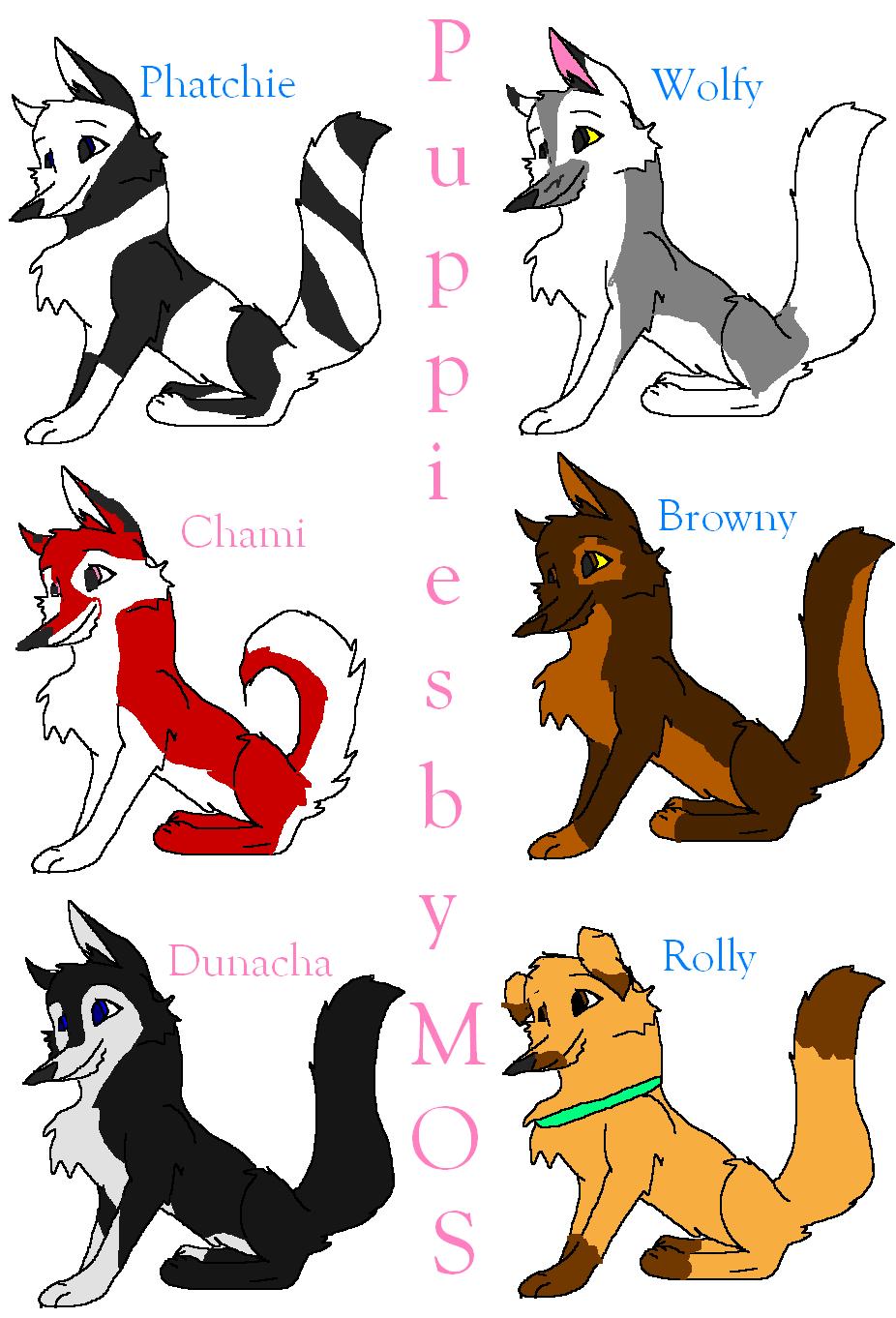 Puppies to adoption.01.JPG
