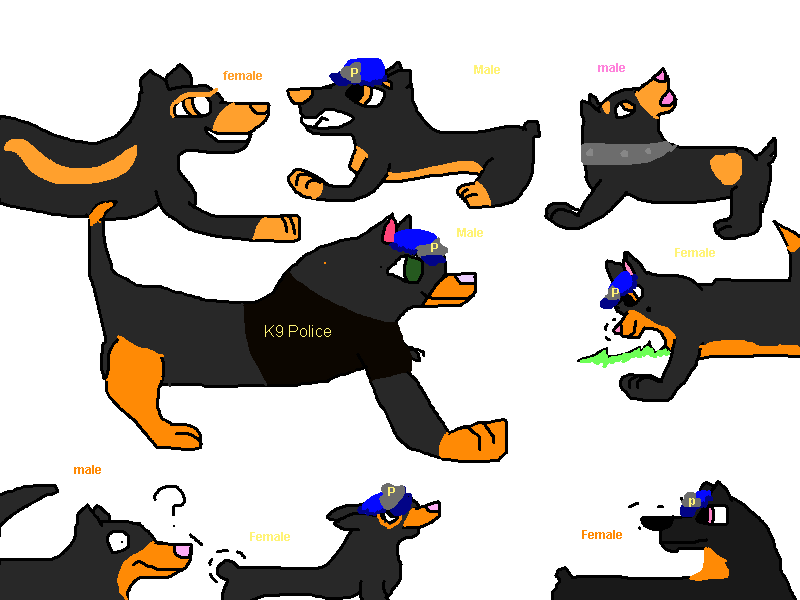 a apolice dog.png