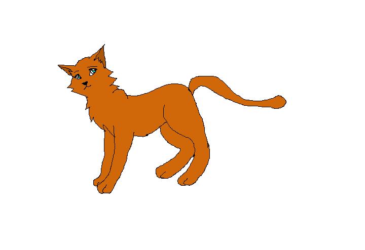 Ginger.jpg