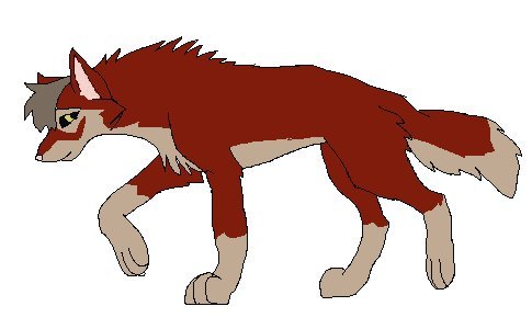 newwolf.JPG