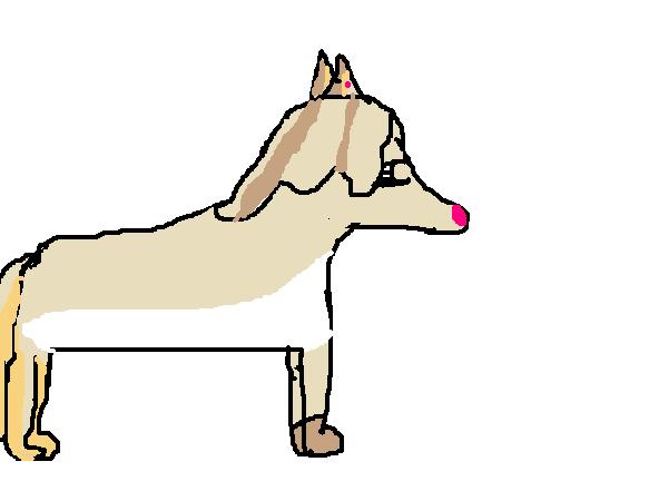 lg_german_shepherd_dog2.jpg