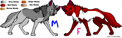 huskies w options.png