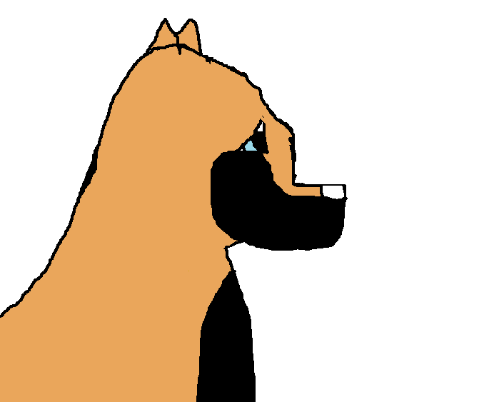 %0sammie.png