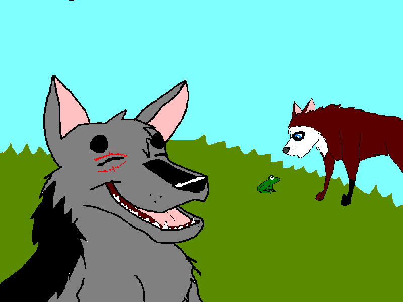 loo.PNG