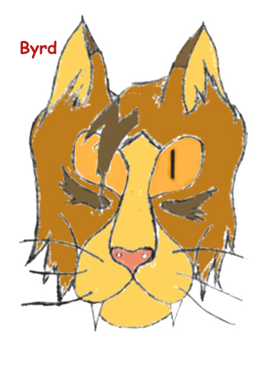 Byrd.JPG