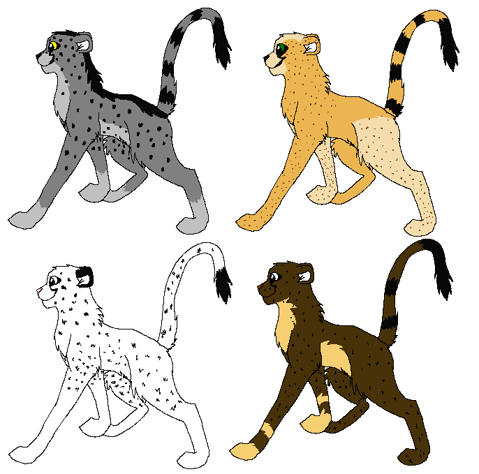 male cheetahs.PNG