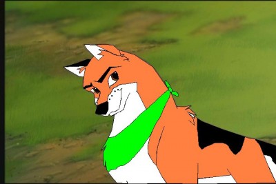 aleu1.jpg