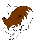 Kyoshi!!!.PNG