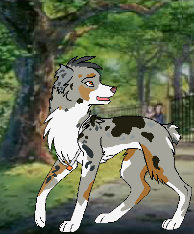 Riles. New York Stray.PNG