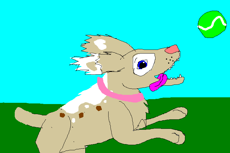 sadie.PNG