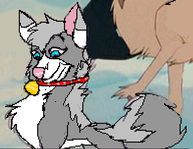 dsfgs.PNG