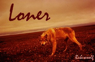 signature Loner.jpg