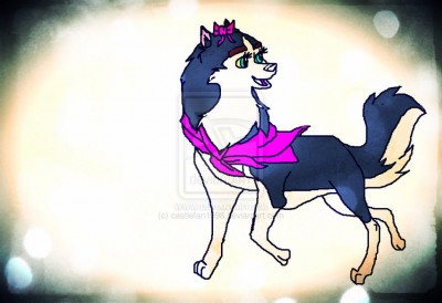 me_as_a_husky_effects_by_castlefan1998-d68rta9.jpg