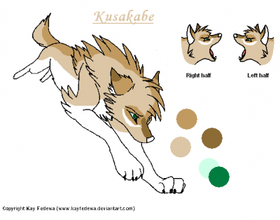 Beta Kusakabe.PNG