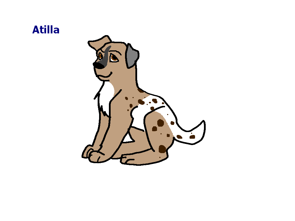 Atilla.PNG