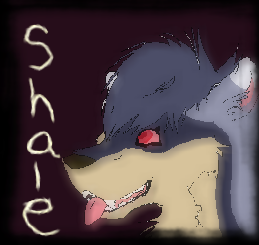 Shale.png